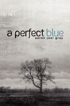 A Perfect Blue by Aaron Joel Gray - Paperback