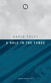 A Hole in the Fence by David Foley - Paperback