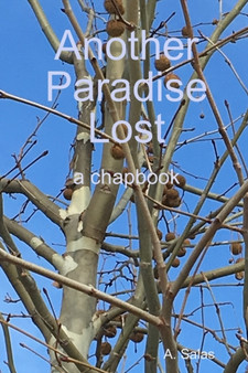 Another Paradise Lost by A. Salas - Paperback