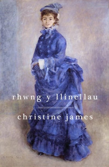 Rhwng y Llinellau by Christine James - Paperback