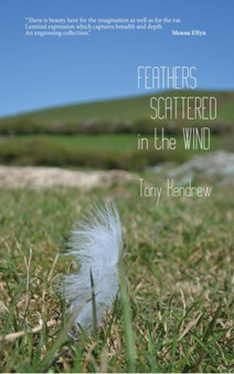 Feathers Scattered in the Wind by Tony Kendrew - Paperback
