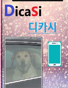 Dicasi : Digital Camera meets poem by Seongchoon Pak - Paperback