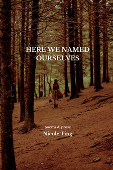 Here We Named Ourselves by Nicole Ting - Paperback