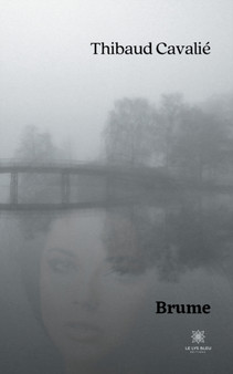 Brume by Thibaud Cavalie - Paperback