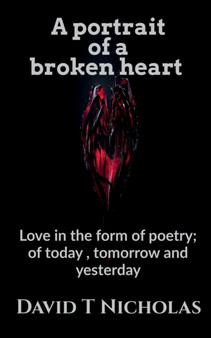 A portrait of a broken heart by David T - Paperback