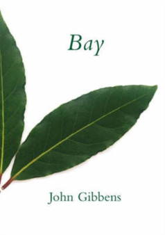 Bay by John Gibbens - Paperback
