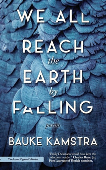 We All Reach the Earth by Falling by Bauke Kamstra - Paperback