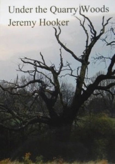 Under the Quarry Woods by Jeremy Hooker - Paperback
