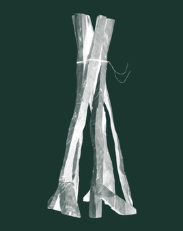 Georg Baselitz : Sculptures 2011-2015 by Georg Baselitz - Paperback