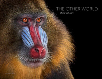 The Other World: Animal Portraits by Brad Wilson - Hardback