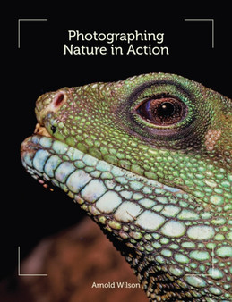 Photographing Nature in Action by Arnold Wilson - Paperback