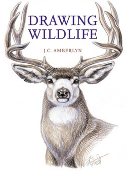 Drawing Wildlife by J.C. Amberlyn - Paperback