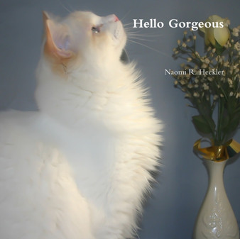Hello Gorgeous by Naomi R. Heckler - Paperback