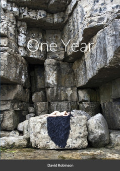 One Year by David Robinson - Paperback