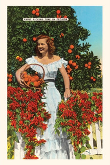 Vintage Journal Southern Belle, Oranges, Florida by Found Image Press - Paperback