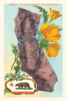 Vintage Journal California Map with Bear and Poppies by Found Image Press - Paperback