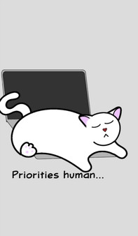 Catlover's Notebook - Blank Lined Pages - Priorities Human : Notebook for Catlovers - Cat Laptop by Mantablast - Hardback