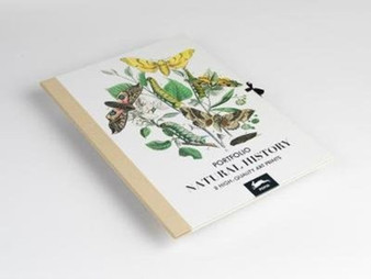 Natural History : Art Portfolio by Pepin Van Roojen - Hardback