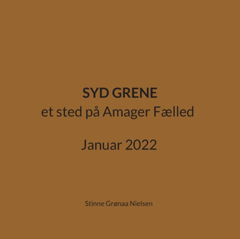 Syd Grene : et sted pa Amager F??lled Januar 2022 by Stinne Gr????naa Nielsen - Paperback