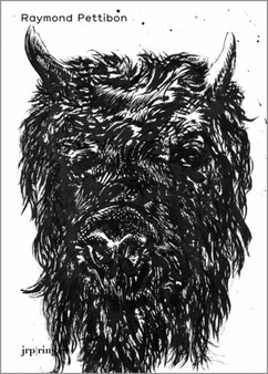 Raymond Pettibon : Whuytuyp by Lynn Kost - Hardback