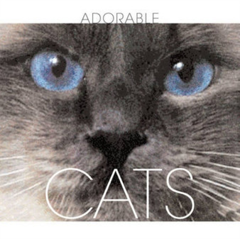 Cats by Valeria.M De Fabianis - Hardback