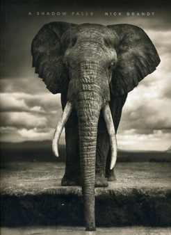 A Shadow Falls by Nick Brandt - Hardback