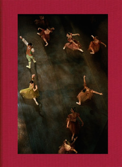 Henry Leutwyler : Ballet - Photographs of the New York City Ballet by Henry Leutwyler - Hardback