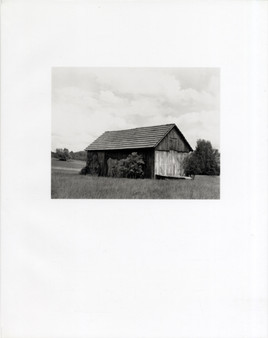 Collier Schorr : Neighbors by Collier Schorr - Hardback