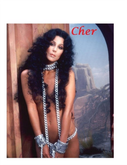 Cher : The Shocking Truth! by D Parton - Paperback
