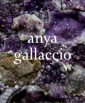 Anya Gallaccio by Norman Bryson - Hardback