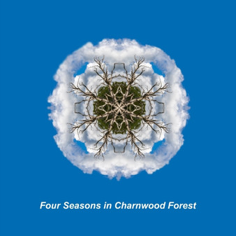 Four Seasons in the Charnwood Forest by Robb Doyle - Paperback
