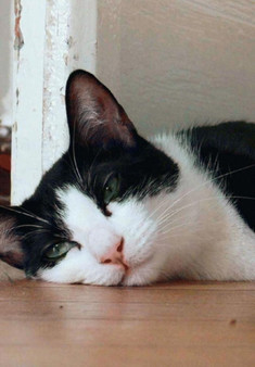 Jordan Wolfson by Kunstsammlung Nordrhein-Westfalen - Paperback