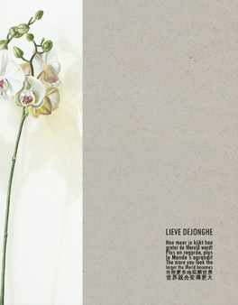 Lieve Dejonghe : The More You Look, the Larger the World Becomes by Frans Boenders - Hardback