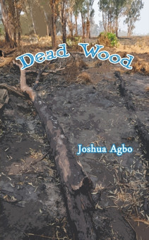 Dead Wood by Joshua Agbo - Paperback