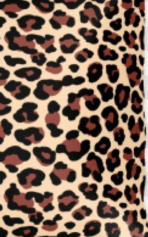 Leopard Sir Michael Designer Writing Drawing Journal : Leopard writing drawing Journal