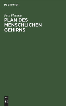 Plan Des Menschlichen Gehirns