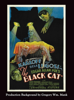 The Black Cat (hardback) by Philip J Riley - Hardback