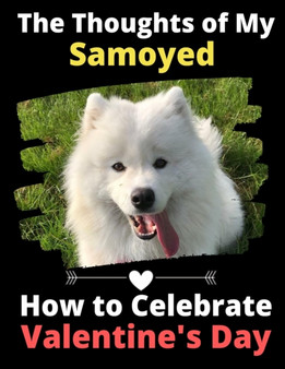 The Thoughts of My Samoyed : How to Celebrate Valentine's Day by Brightview Activity Books - Paperback