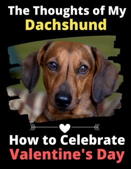 The Thoughts of My Dachshund : How to Celebrate Valentine's Day by Brightview Activity Books - Paperback