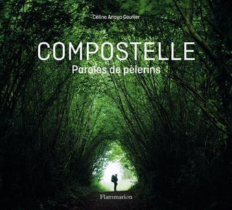 En chemin vers Compostelle