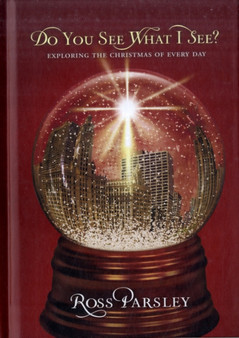 Do You See What I See? : Exploring the Christmas of Every Day