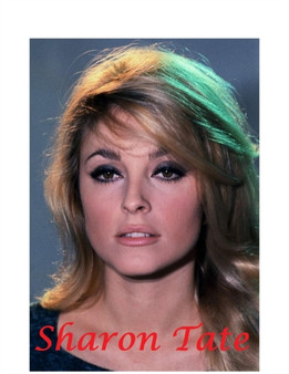 Sharon Tate : The Shocking Truth! by D Martin - Paperback