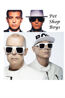 Pet Shop Boys : The Shocking Truth! by Harold Harrison - Paperback