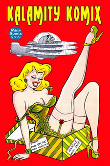 Kalamity Komix by Mini Komix - Paperback