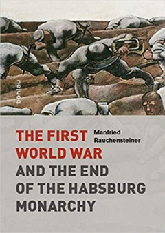 The First World War : and the End of the Habsburg Monarchy, 1914-1918