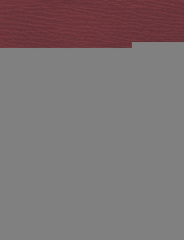 Ueber Den Werth Des B Rgerlichen Gesetzbuches Der Franzosen