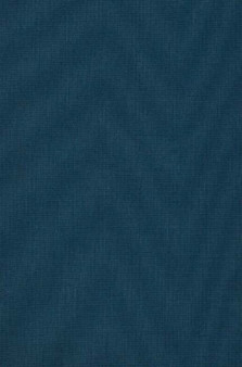 Minnesota in the Civil and Indian Wars : 1861-1865