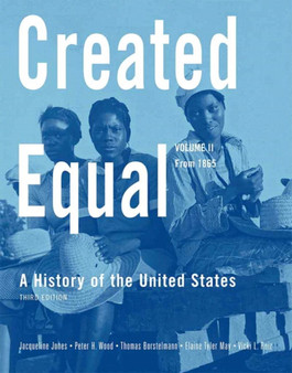 Created Equal : A History of the United States (from 1865) v. 2