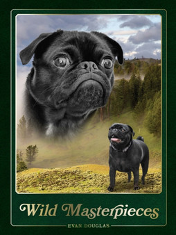 Wild Masterpieces by Evan Douglas - Hardback