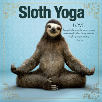 Sloth Yoga by Willow Creek Press - Hardback